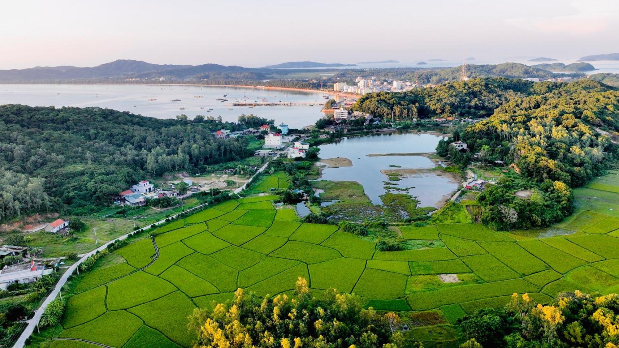 Coto Island Beach Village Homestay Dao Co To Εξωτερικό φωτογραφία